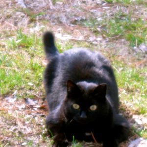 Meet your Posher, Mindy